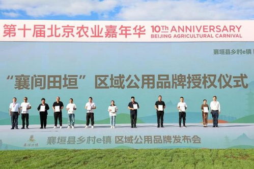 襄间田垣·品牌启航 襄垣魅力在京彩绽放中的数字篇章